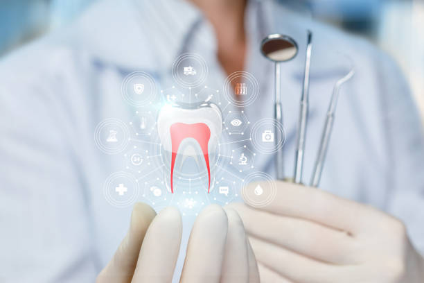 Best Dental Fillings (Composite and Amalgam)  in Paddock Lake, WI